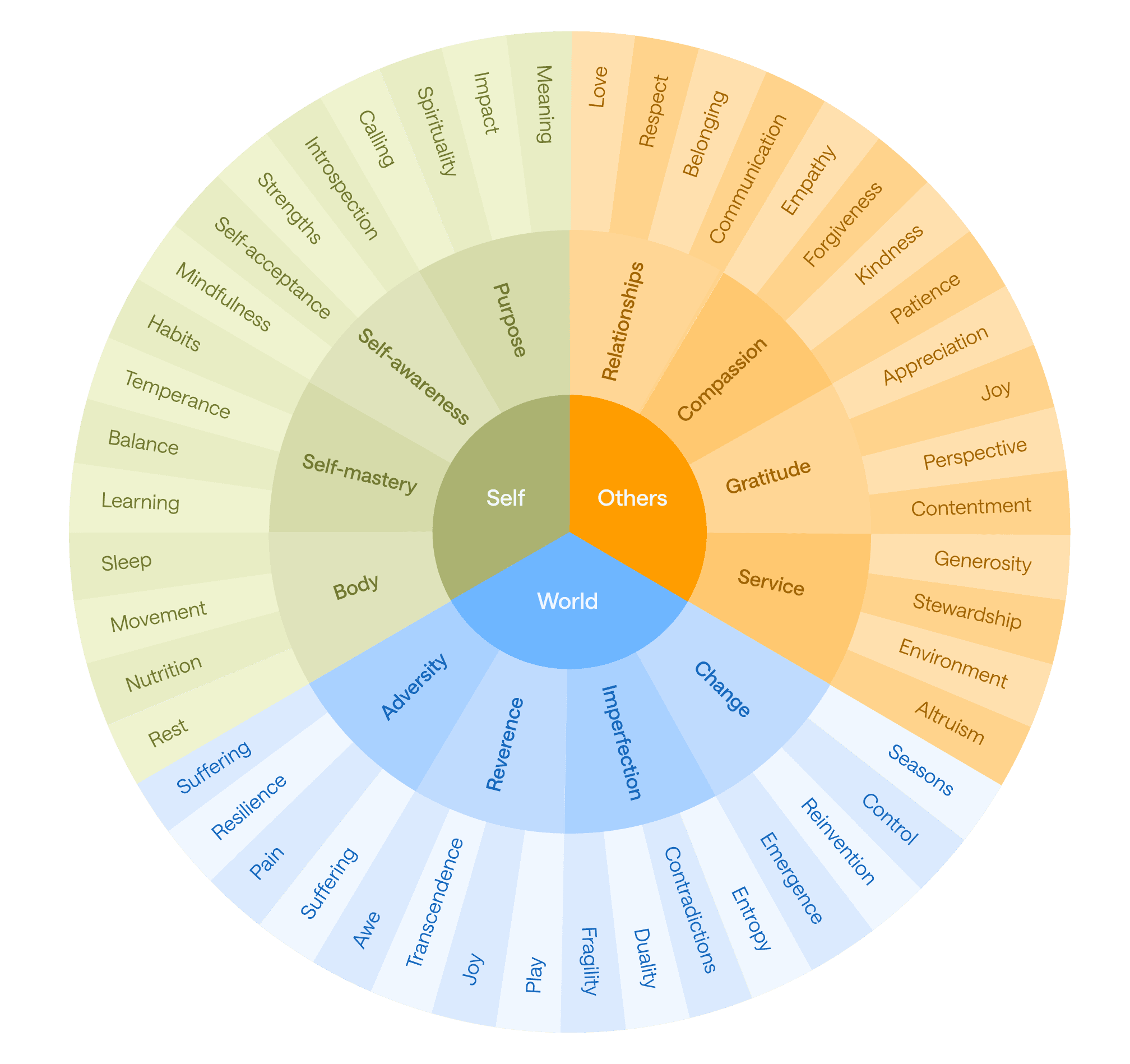 12 Guiding Themes